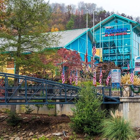 Bear View Chalet, 3 Bedroom, Pool, Pets, Arcades, Wifi, Hot Tub, Sleeps 12 Gatlinburg Eksteriør billede
