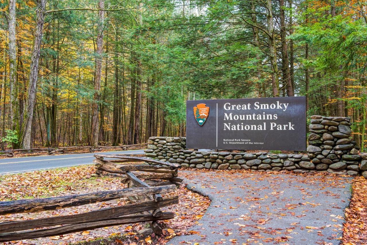 Bear View Chalet, 3 Bedroom, Pool, Pets, Arcades, Wifi, Hot Tub, Sleeps 12 Gatlinburg Eksteriør billede