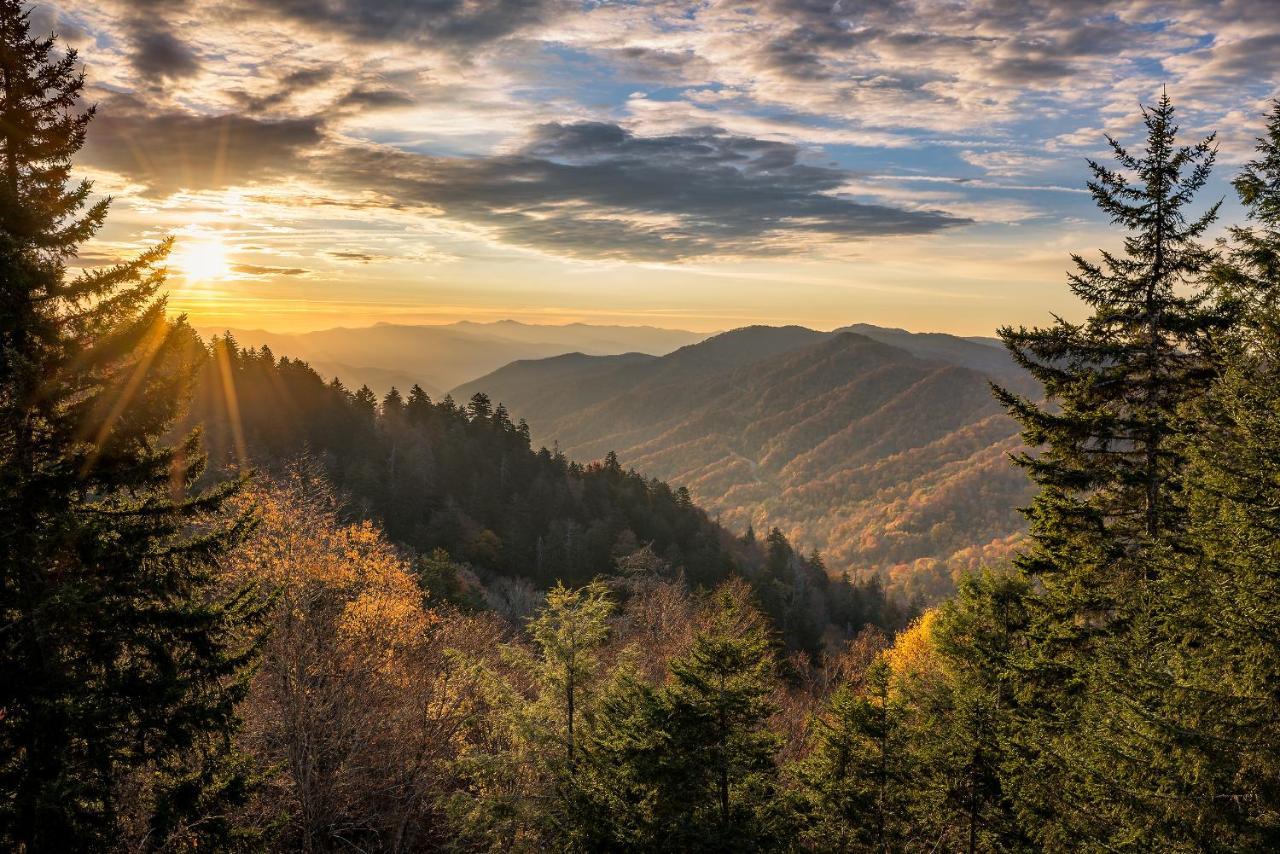 Bear View Chalet, 3 Bedroom, Pool, Pets, Arcades, Wifi, Hot Tub, Sleeps 12 Gatlinburg Eksteriør billede