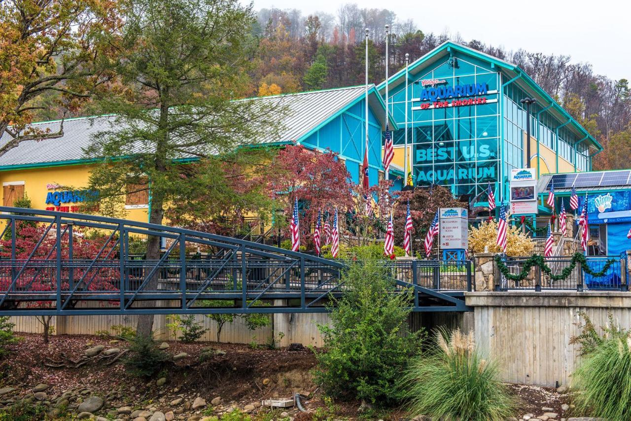 Bear View Chalet, 3 Bedroom, Pool, Pets, Arcades, Wifi, Hot Tub, Sleeps 12 Gatlinburg Eksteriør billede