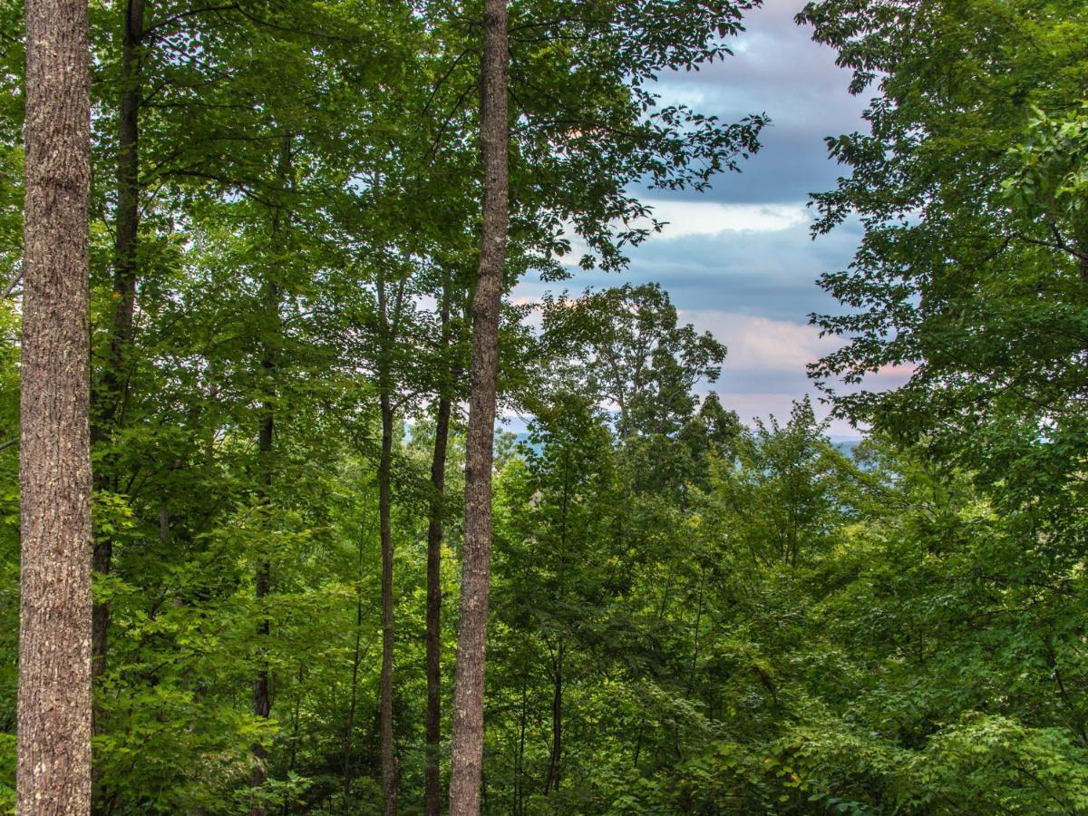 Bear View Chalet, 3 Bedroom, Pool, Pets, Arcades, Wifi, Hot Tub, Sleeps 12 Gatlinburg Eksteriør billede