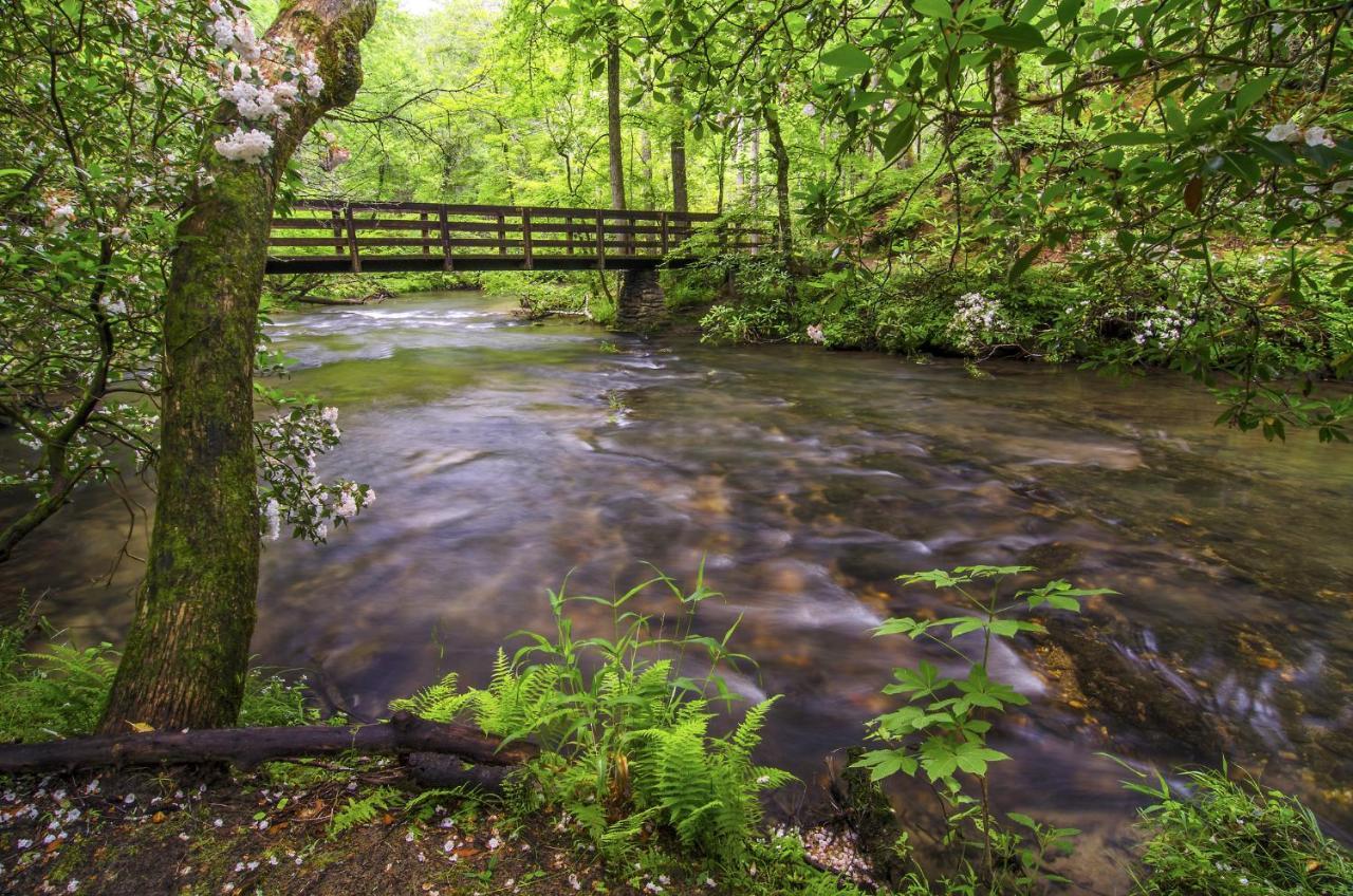 Bear View Chalet, 3 Bedroom, Pool, Pets, Arcades, Wifi, Hot Tub, Sleeps 12 Gatlinburg Eksteriør billede